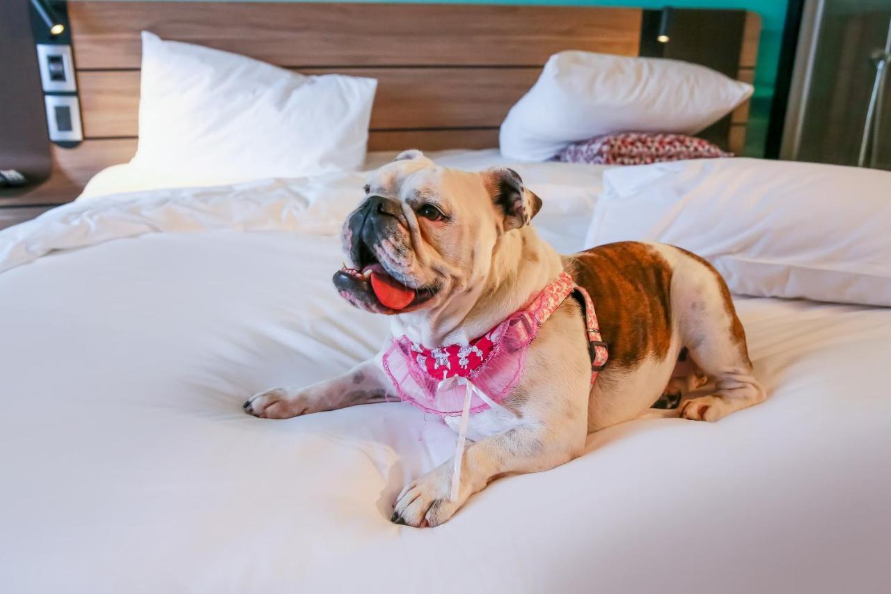 Novotel ソロカーバ エクステリア 写真