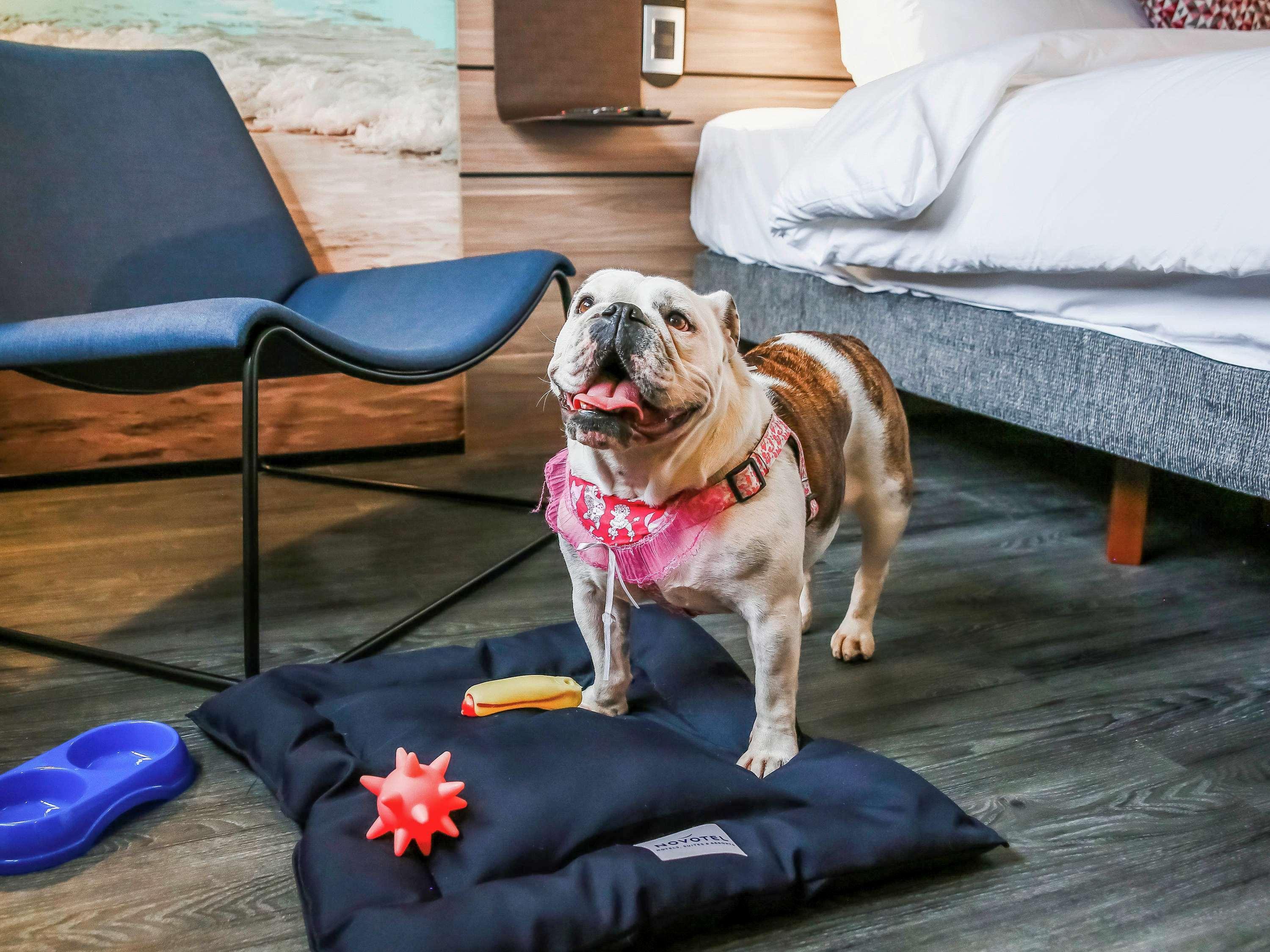 Novotel ソロカーバ エクステリア 写真